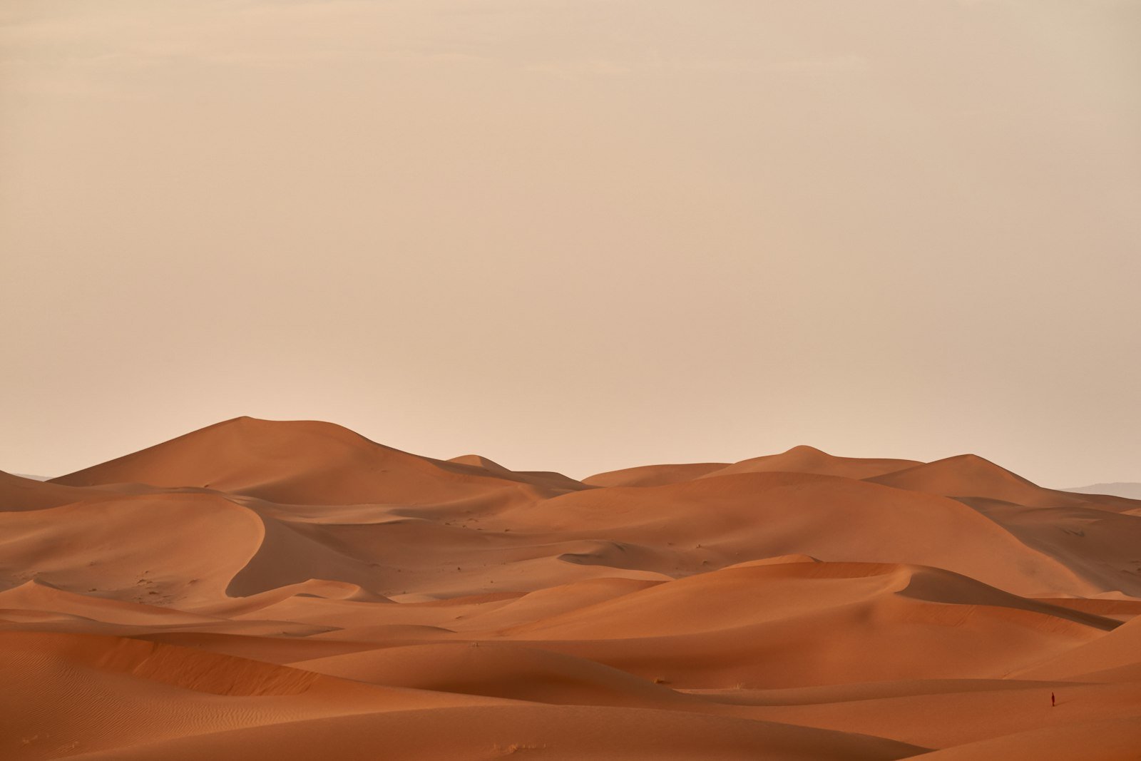 Les Meilleurs Circuits au Maroc : des Voyages Inoubliables