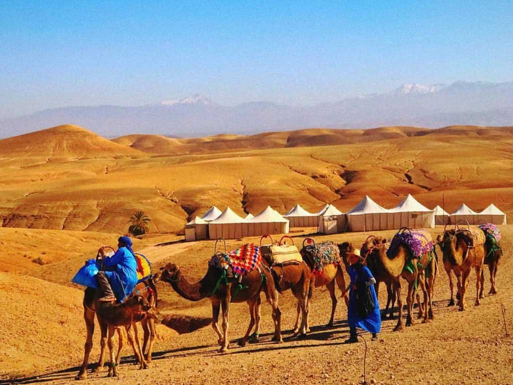 Nochevieja y Fin de Año en el desierto