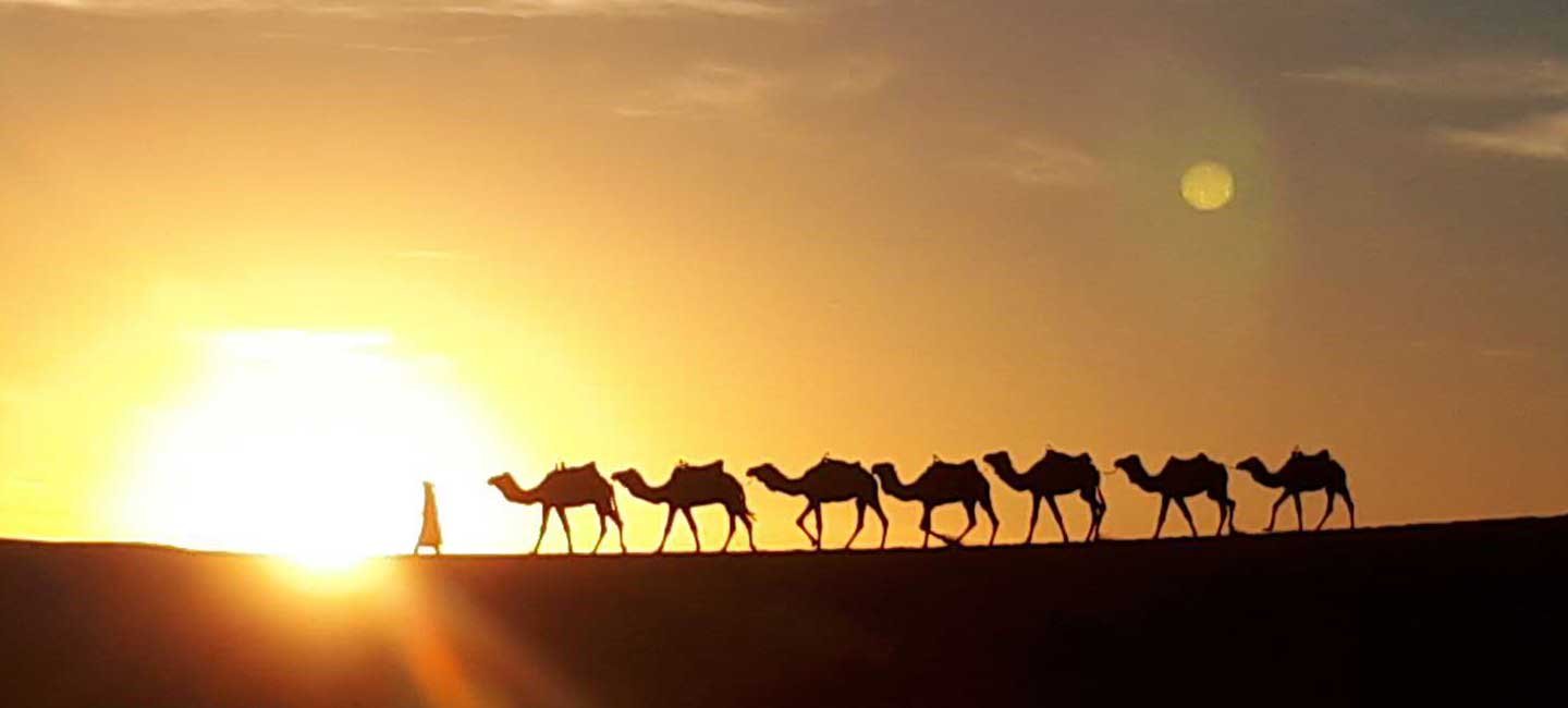 Ouarzazate to the desert