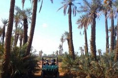 Quads and buggies in Marrakech