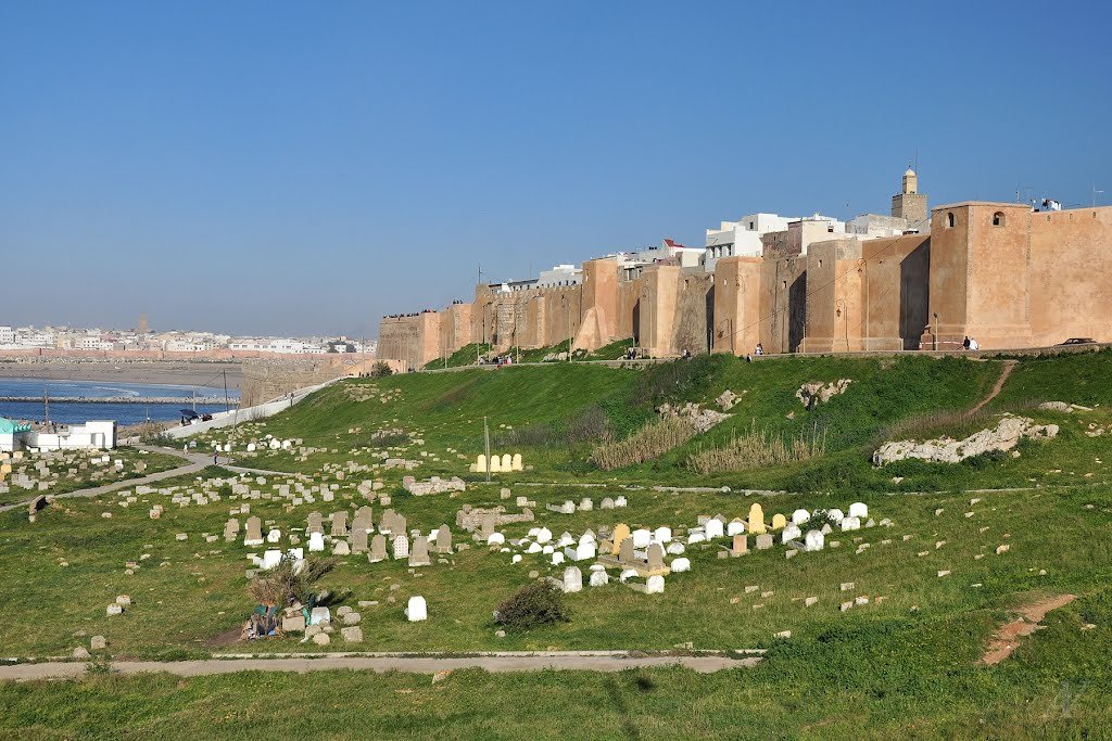 11-Day Tour from Casablanca: Imperial Cities and the Ouzina Desert