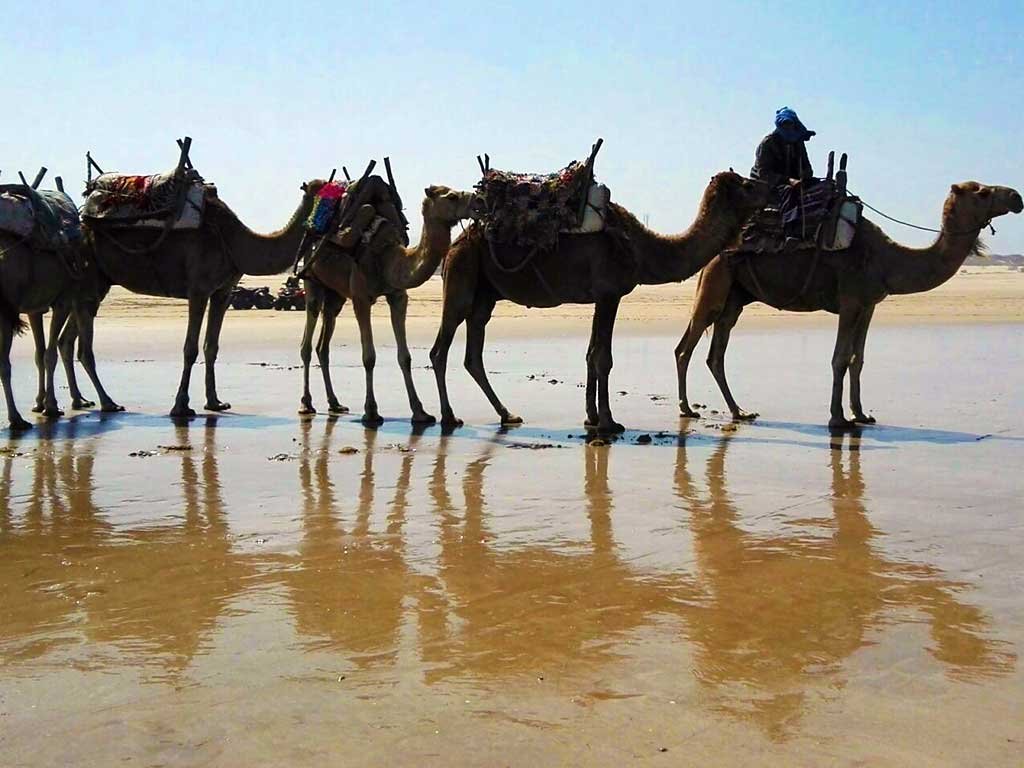 Trek 13 jours sur la côte atlantique : d’Agadir à Essaouira
