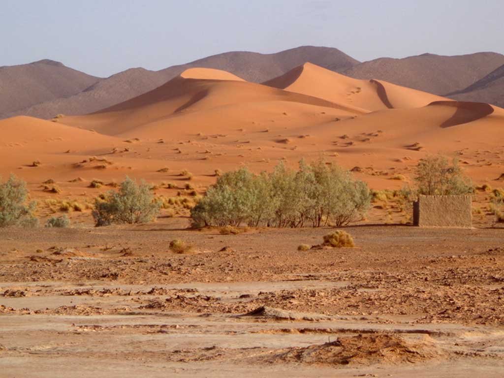 5-Day Tour from Ouarzazate – Ouzina – Khamlia – Todra