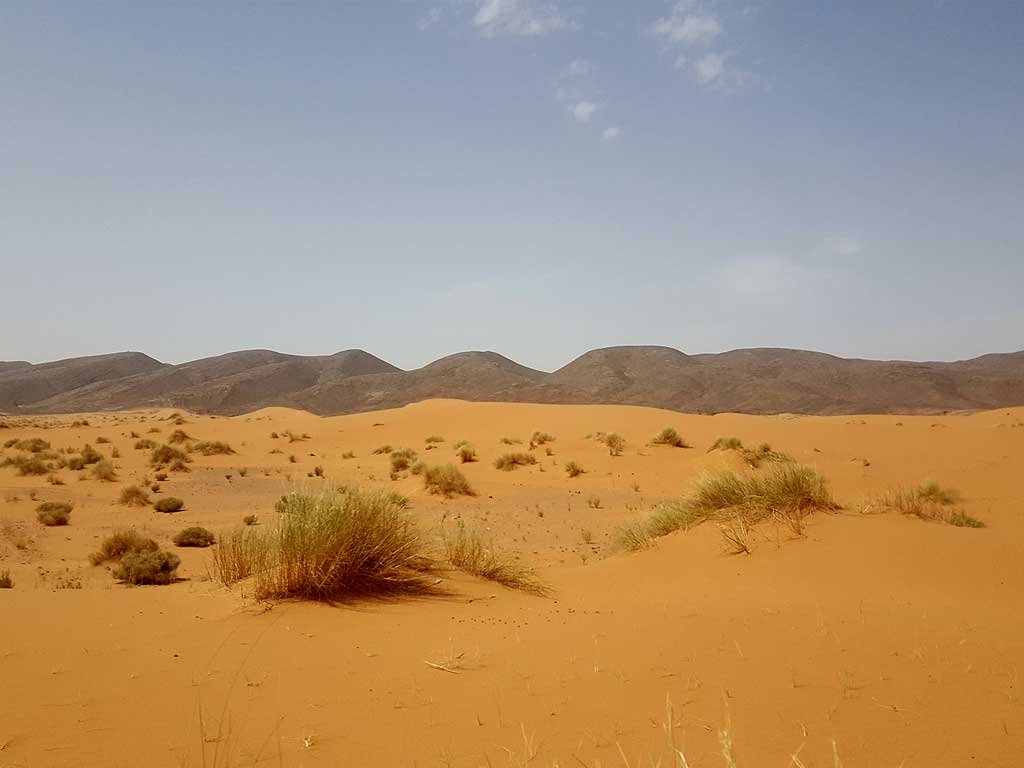 Ruta 6 días Marrakech – Ouzina – Merzouga – Fez