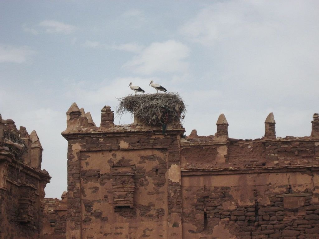Ruta 6 días Marrakech – Ouzina – Merzouga – Fez