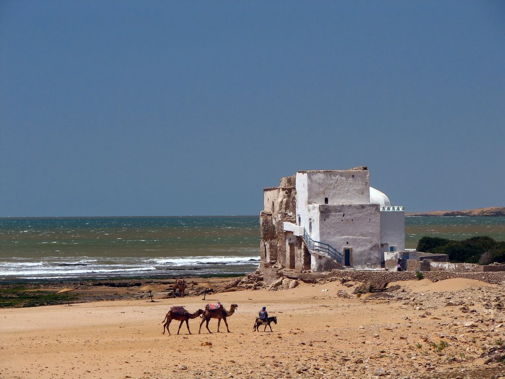 Ruta 8 días Costa Atlántica de Marruecos