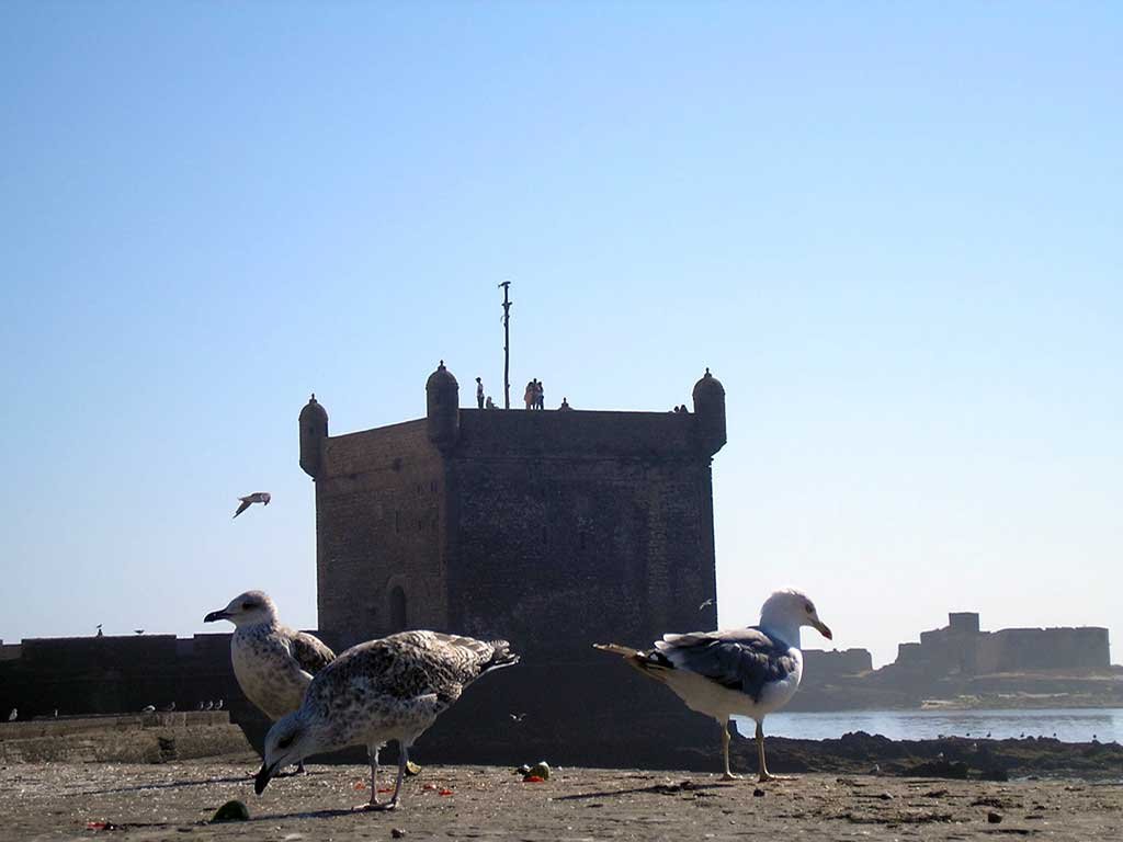 Ruta 8 días Costa Atlántica de Marruecos