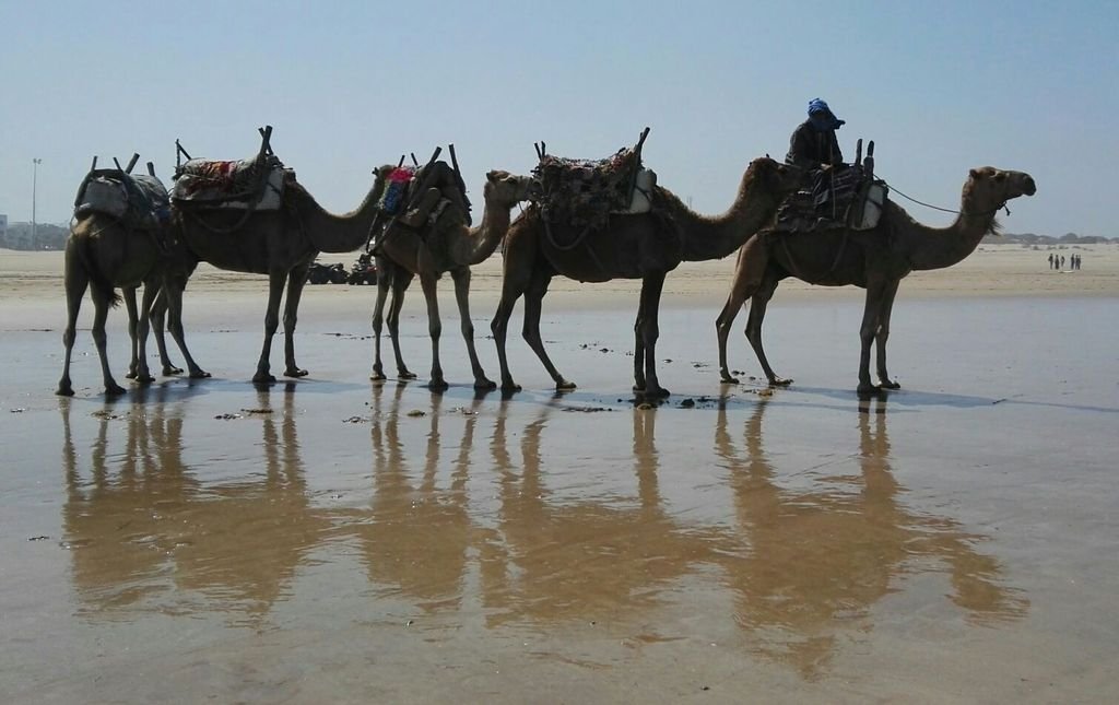 Ruta 8 días Costa Atlántica de Marruecos