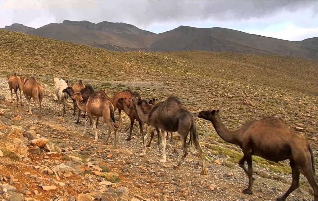 Trekking 8 días por el Jebel Saghro