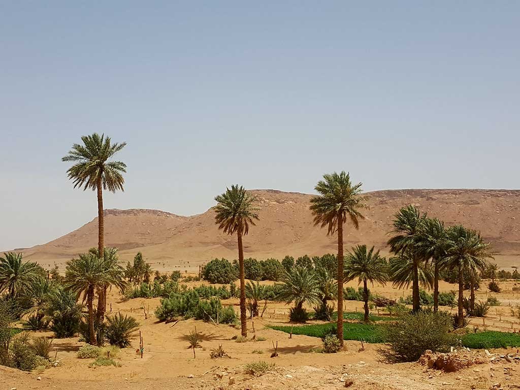 Ruta 9 días desde Casablanca: Fez, Merzouga y Ouzina