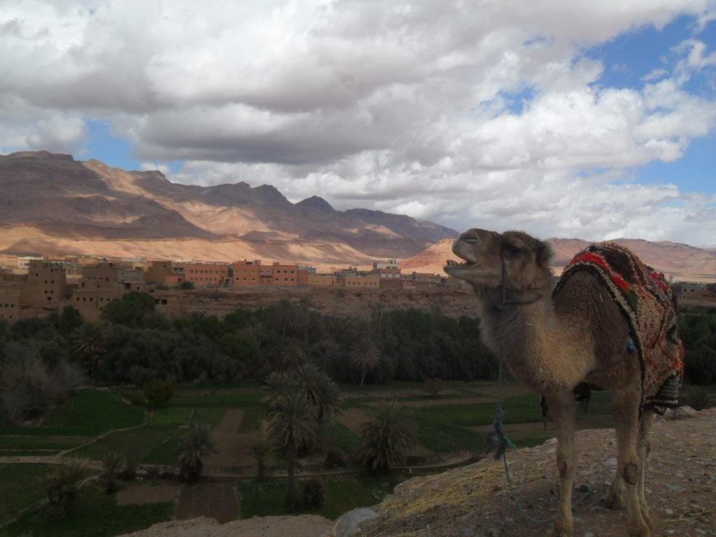 Ruta 9 días desde Casablanca: Fez, Merzouga y Ouzina